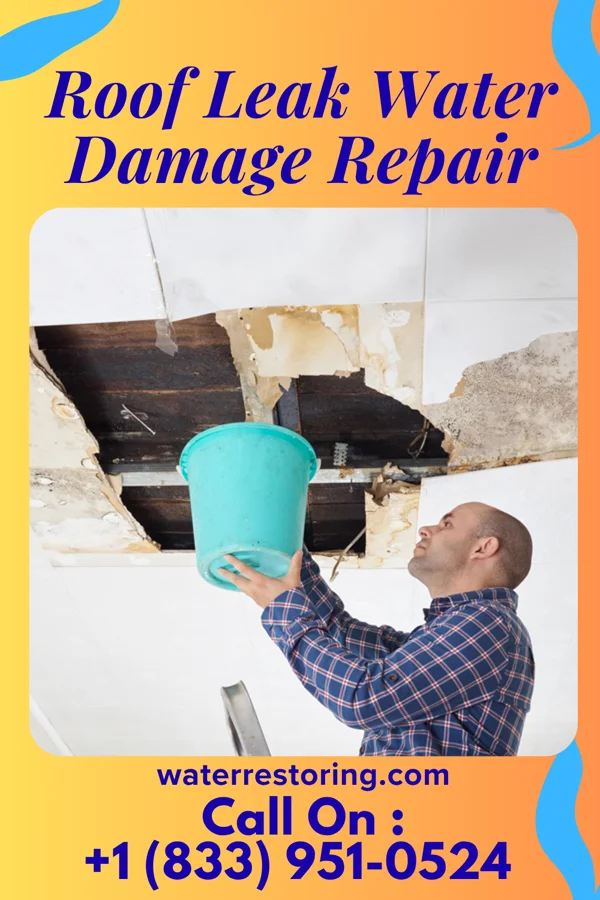 Roof Leak Water Damage Repair in Texarkana, AR
