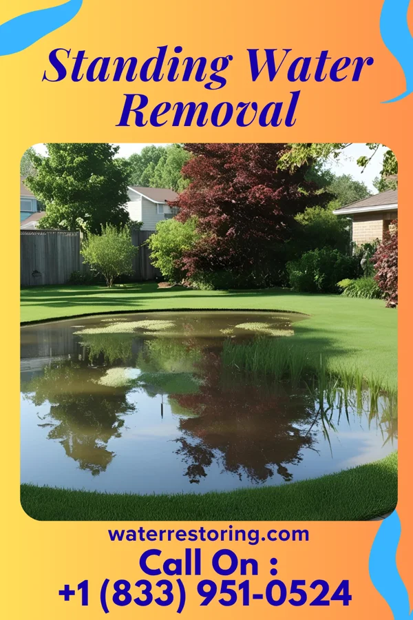 Standing Water Removal in Texarkana, AR